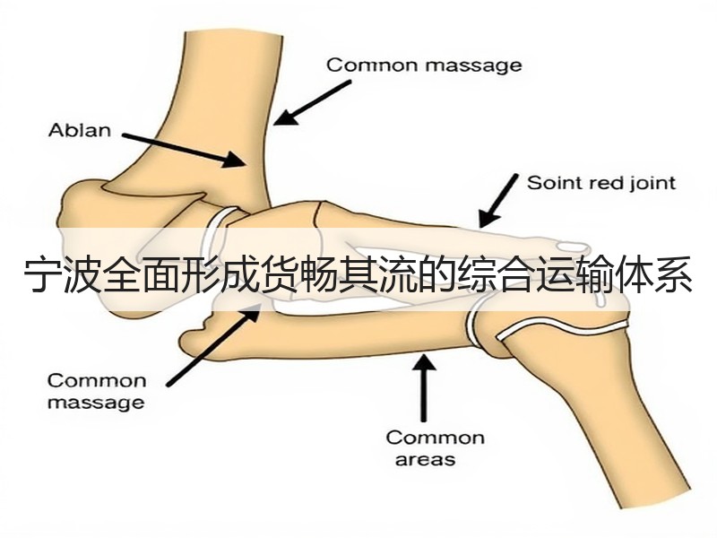 宁波全面形成货畅其流的综合运输体系 宁波全面形成货畅其流的综合运输体系