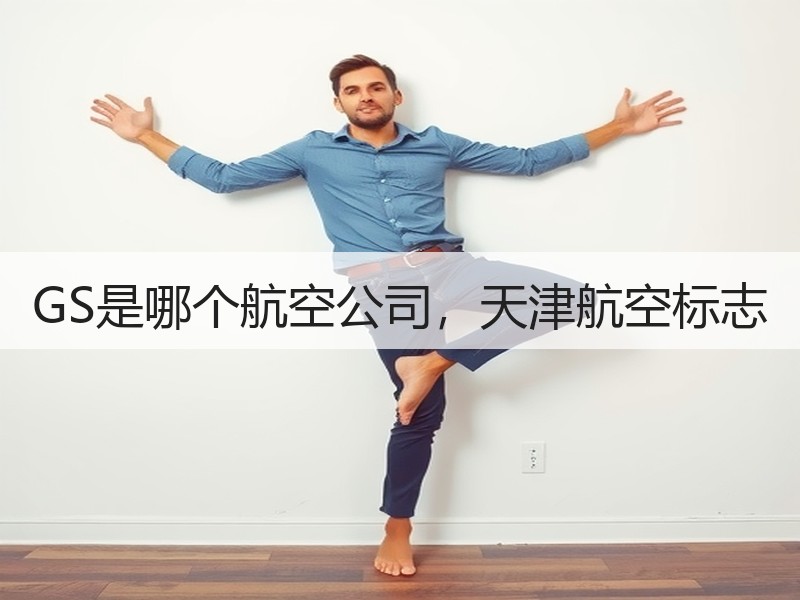 GS是哪个航空公司,天津航空标志 GS是哪个航空公司,天津航空标志