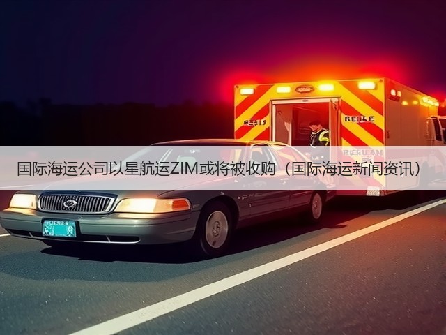 国际海运公司以星航运ZIM或将被收购(国际海运新闻资讯)(图3) 国际海运公司以星航运ZIM或将被收购(国际海运新闻资讯)(图3)