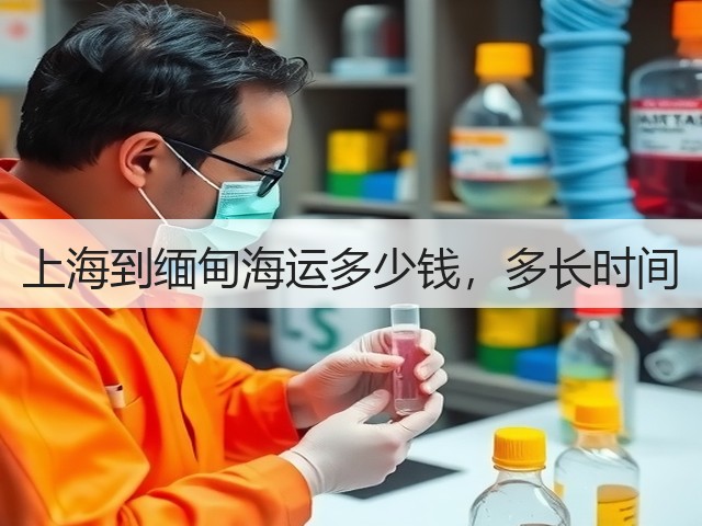 上海到缅甸海运多少钱,多长时间(图3) 上海到缅甸海运多少钱,多长时间(图3)