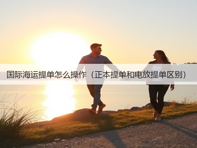 国际海运提单怎么操作(正本提单和电放提单区别)(图3) 国际海运提单怎么操作(正本提单和电放提单区别)(图3)