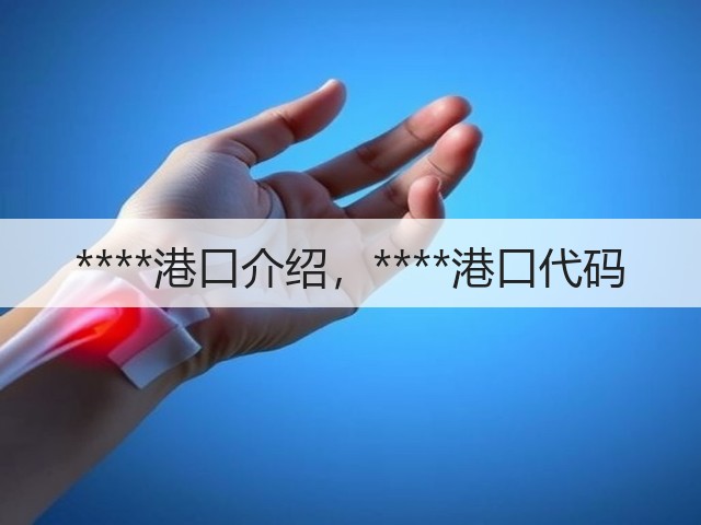 ****港口介绍,****港口代码(图2) ****港口介绍,****港口代码(图2)