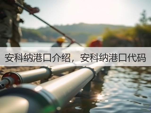 安科纳港口介绍,安科纳港口代码(图1) 安科纳港口介绍,安科纳港口代码(图1)