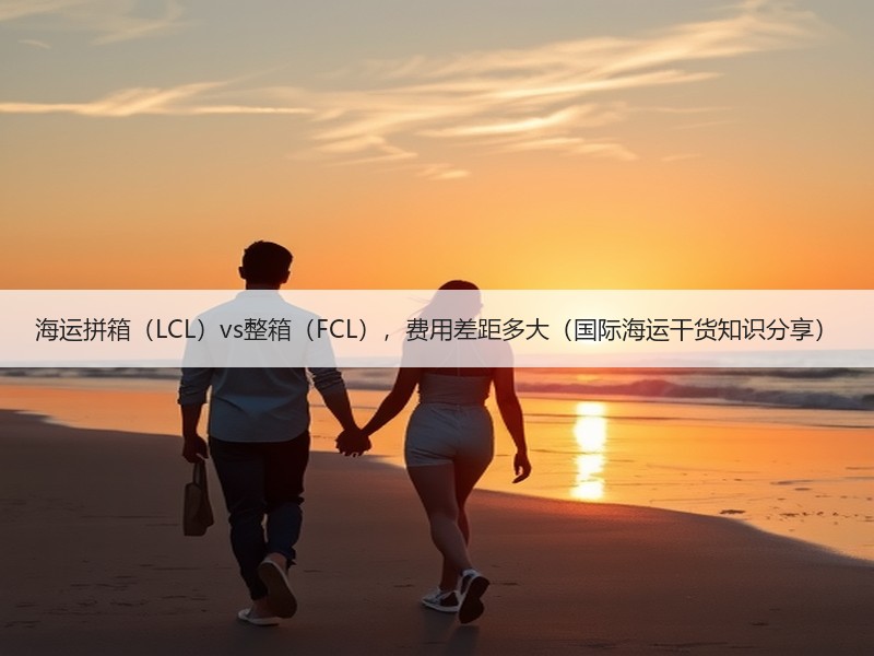 海运拼箱（LCL）vs整箱（FCL），费用差距多大（国际海运干货知识分享）