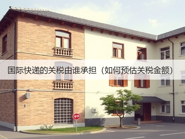 国际快递的关税由谁承担（如何预估关税金额）(图3)