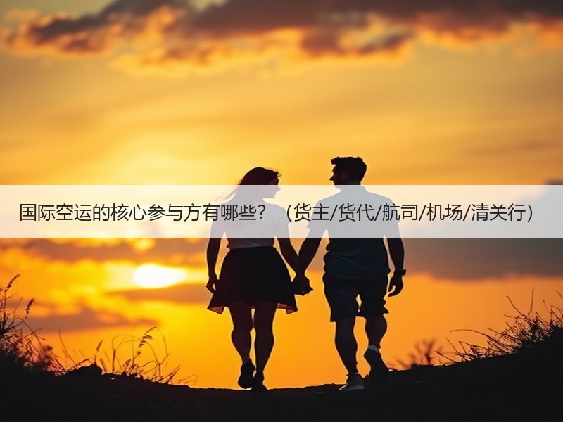 国际空运的核心参与方有哪些？（货主/货代/航司/机场/清关行）