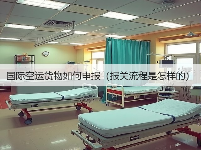 国际空运货物如何申报(报关流程是怎样的)(图2) 国际空运货物如何申报(报关流程是怎样的)(图2)
