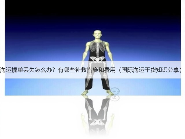 海运提单丢失怎么办？有哪些补救措施和费用（国际海运干货知识分享）(图2)