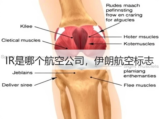 IR是哪个航空公司，伊朗航空标志(图1)