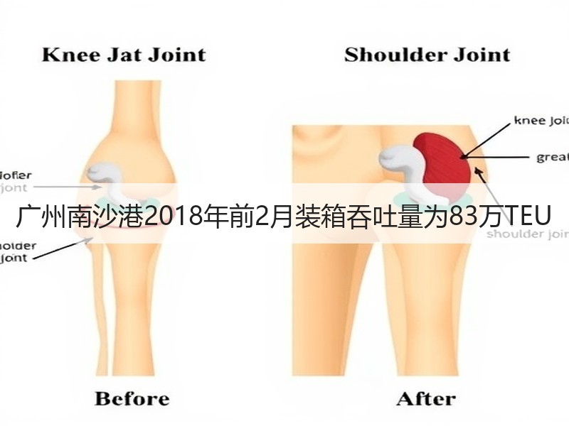 广州南沙港2018年前2月装箱吞吐量为83万TEU 广州南沙港2018年前2月装箱吞吐量为83万TEU