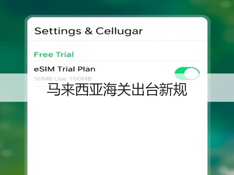 马来西亚海关出台新规