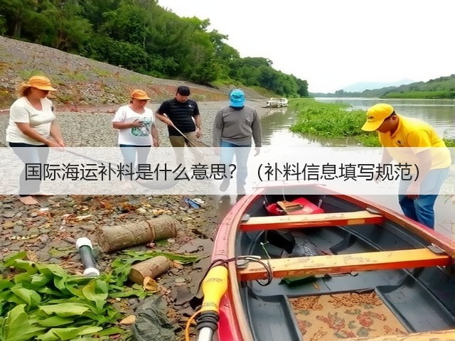 国际海运补料是什么意思?(补料信息填写规范)(图1) 国际海运补料是什么意思?(补料信息填写规范)(图1)