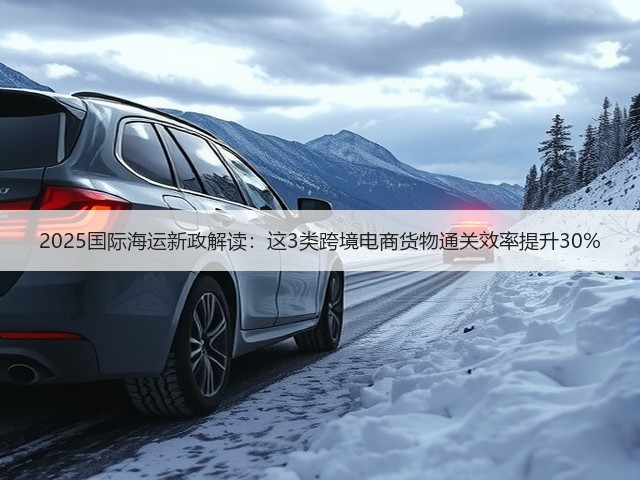 2025国际海运新政解读:这3类跨境电商货物通关效率提升30%(图2) 2025国际海运新政解读:这3类跨境电商货物通关效率提升30%(图2)