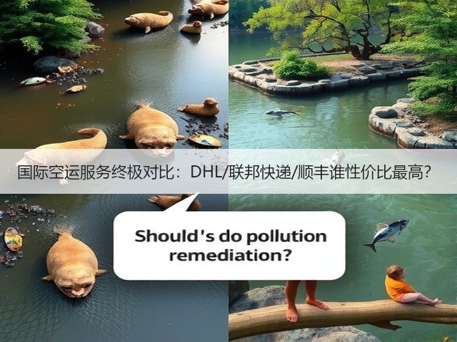 国际空运服务终极对比:DHL/联邦快递/顺丰谁性价比最高?(图1) 国际空运服务终极对比:DHL/联邦快递/顺丰谁性价比最高?(图1)