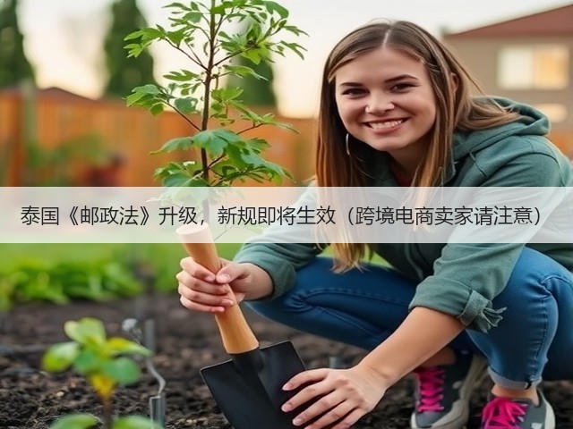 泰国《邮政法》升级,新规即将生效(跨境电商卖家请注意)(图2) 泰国《邮政法》升级,新规即将生效(跨境电商卖家请注意)(图2)