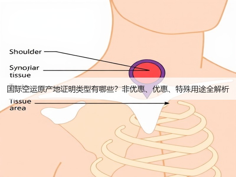国际空运原产地证明类型有哪些？非优惠、优惠、特殊用途全解析