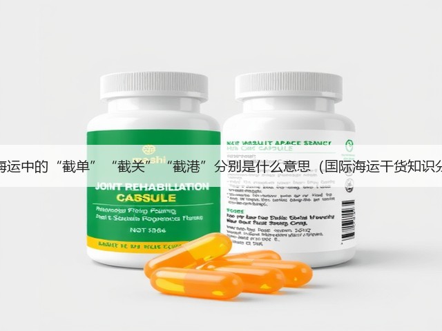 国际海运中的“截单”“截关”“截港”分别是什么意思(国际海运干货知识分享)(图3) 国际海运中的“截单”“截关”“截港”分别是什么意思(国际海运干货知识分享)(图3)
