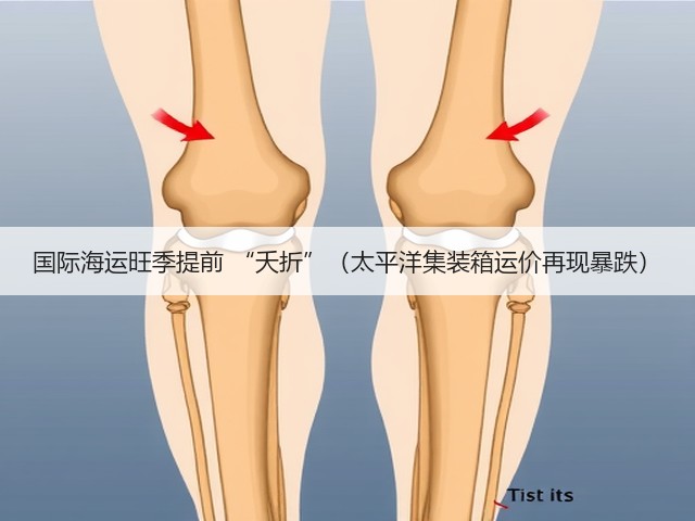 国际海运旺季提前 “夭折”(太平洋集装箱运价再现暴跌)(图4) 国际海运旺季提前 “夭折”(太平洋集装箱运价再现暴跌)(图4)
