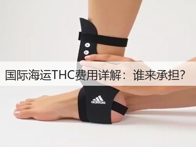 国际海运THC费用详解:谁来承担?(图1) 国际海运THC费用详解:谁来承担?(图1)