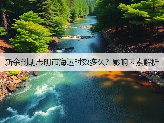 新余到胡志明市海运时效多久?影响因素解析(图3) 新余到胡志明市海运时效多久?影响因素解析(图3)