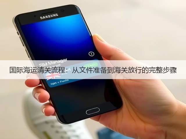 国际海运清关流程:从文件准备到海关放行的完整步骤(图3) 国际海运清关流程:从文件准备到海关放行的完整步骤(图3)