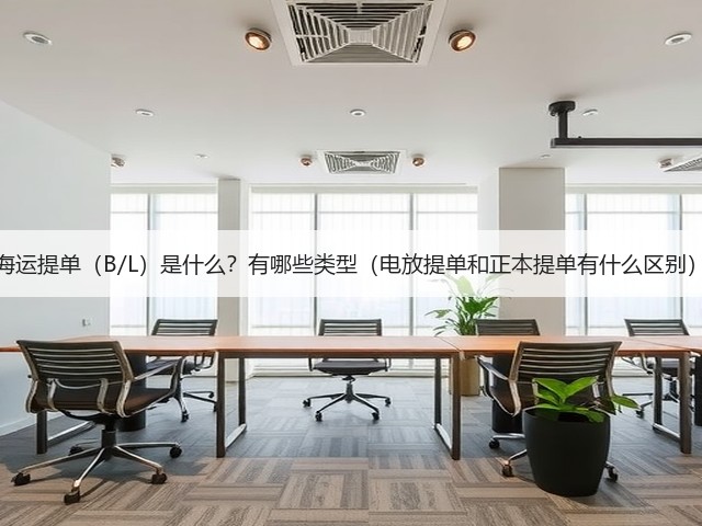 海运提单（B/L）是什么？有哪些类型（电放提单和正本提单有什么区别）(图2)