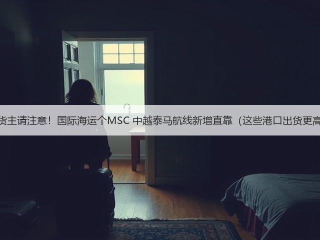 中国货主请注意!国际海运个MSC 中越泰马航线新增直靠(这些港口出货更高效)(图1) 中国货主请注意!国际海运个MSC 中越泰马航线新增直靠(这些港口出货更高效)(图1)