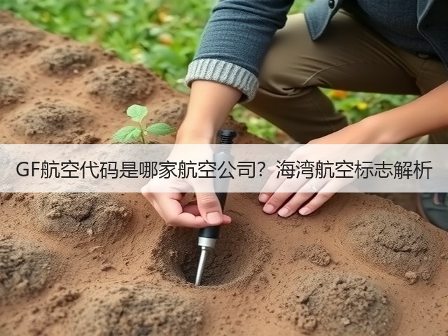 GF航空代码是哪家航空公司?海湾航空标志解析(图1) GF航空代码是哪家航空公司?海湾航空标志解析(图1)