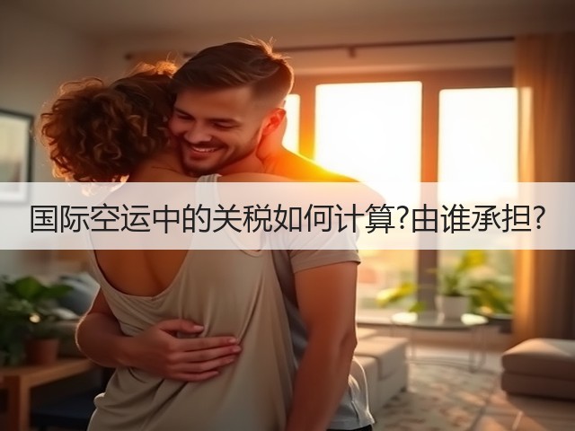 国际空运中的关税如何计算?由谁承担?(图3) 国际空运中的关税如何计算?由谁承担?(图3)