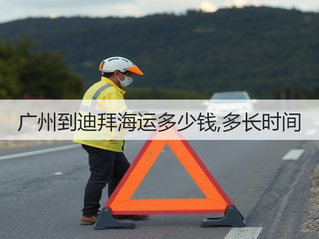 广州到迪拜海运多少钱,多长时间(图1)