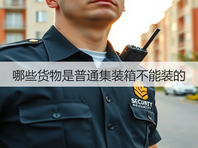 哪些货物是普通集装箱不能装的(图3) 哪些货物是普通集装箱不能装的(图3)