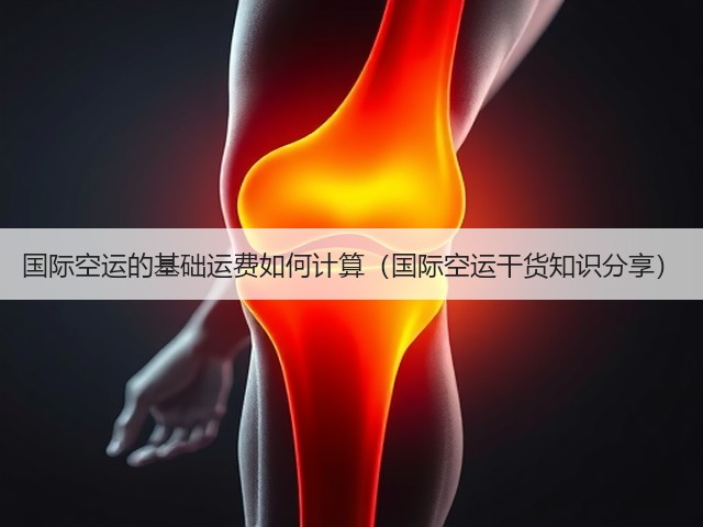 国际空运的基础运费如何计算(国际空运干货知识分享)(图2) 国际空运的基础运费如何计算(国际空运干货知识分享)(图2)