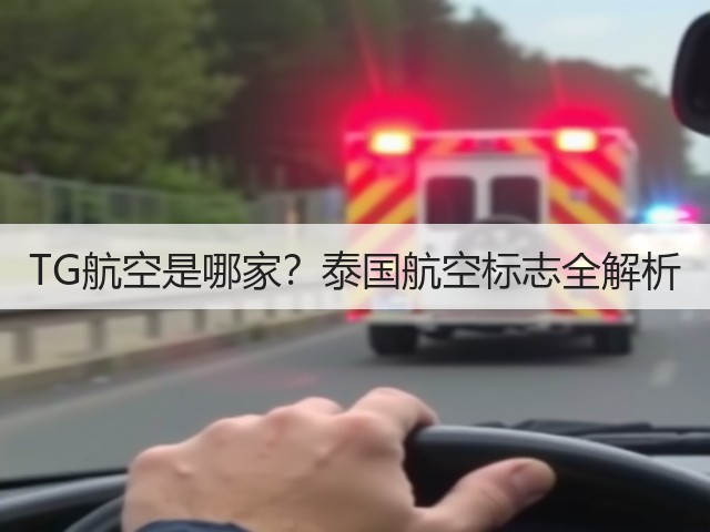 TG航空是哪家?泰国航空标志全解析(图3) TG航空是哪家?泰国航空标志全解析(图3)