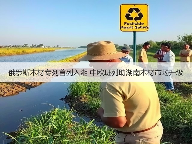 俄罗斯木材专列首列入湘 中欧班列助湖南木材市场升级(图3) 俄罗斯木材专列首列入湘 中欧班列助湖南木材市场升级(图3)