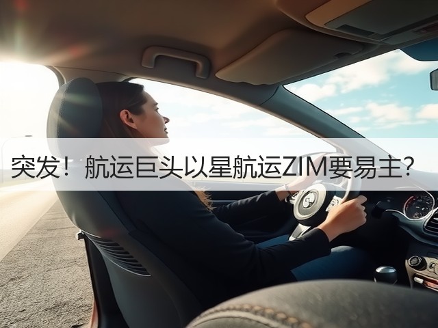 突发!航运巨头以星航运ZIM要易主?(图3) 突发!航运巨头以星航运ZIM要易主?(图3)
