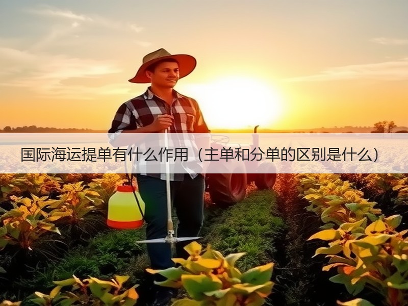 国际海运提单有什么作用（主单和分单的区别是什么）