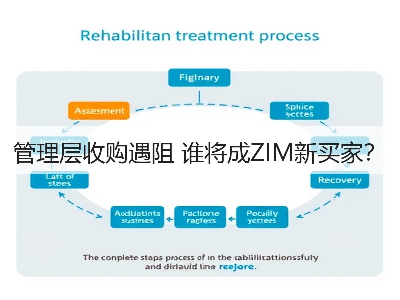管理层收购遇阻 谁将成ZIM新买家? 管理层收购遇阻 谁将成ZIM新买家?