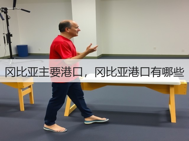 冈比亚主要港口,冈比亚港口有哪些(图1) 冈比亚主要港口,冈比亚港口有哪些(图1)
