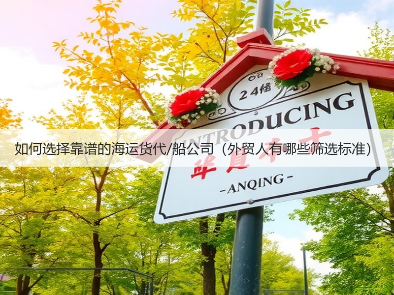 如何选择靠谱的海运货代/船公司（外贸人有哪些筛选标准）