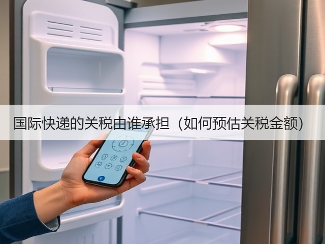 国际快递的关税由谁承担（如何预估关税金额）(图2)