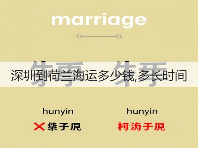 深圳到荷兰海运多少钱,多长时间(图1)