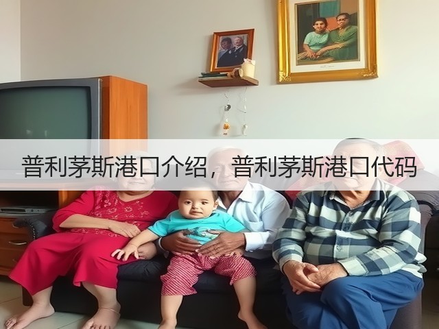 普利茅斯港口介绍,普利茅斯港口代码(图3) 普利茅斯港口介绍,普利茅斯港口代码(图3)