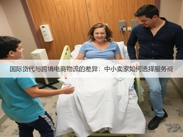 国际货代与跨境电商物流的差异:中小卖家如何选择服务商(图1) 国际货代与跨境电商物流的差异:中小卖家如何选择服务商(图1)