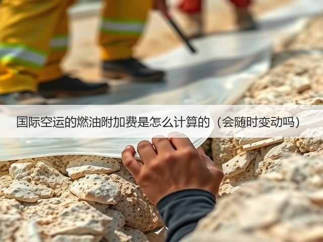 国际空运的燃油附加费是怎么计算的(会随时变动吗)(图3) 国际空运的燃油附加费是怎么计算的(会随时变动吗)(图3)