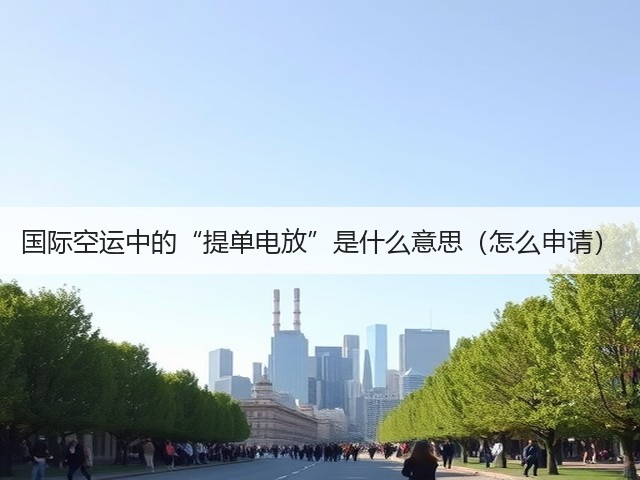 国际空运中的“提单电放”是什么意思(怎么申请)(图3) 国际空运中的“提单电放”是什么意思(怎么申请)(图3)