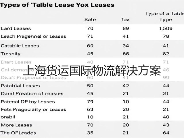 上海货运国际物流解决方案(图3)