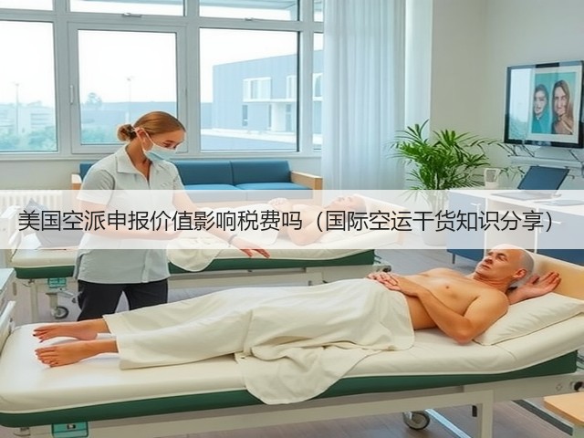 美国空派申报价值影响税费吗(国际空运干货知识分享)(图1) 美国空派申报价值影响税费吗(国际空运干货知识分享)(图1)