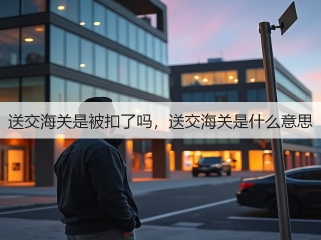 送交海关是被扣了吗,送交海关是什么意思(图3) 送交海关是被扣了吗,送交海关是什么意思(图3)