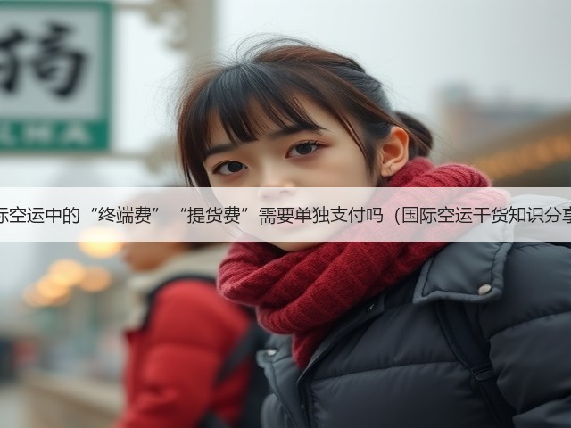 国际空运中的“终端费”“提货费”需要单独支付吗(国际空运干货知识分享)(图2) 国际空运中的“终端费”“提货费”需要单独支付吗(国际空运干货知识分享)(图2)