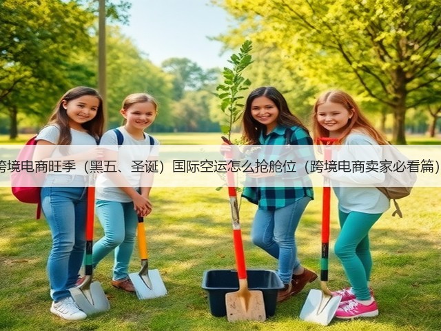 跨境电商旺季(黑五、圣诞)国际空运怎么抢舱位(跨境电商卖家必看篇)(图2) 跨境电商旺季(黑五、圣诞)国际空运怎么抢舱位(跨境电商卖家必看篇)(图2)